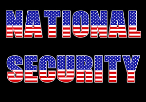 National Security professional development